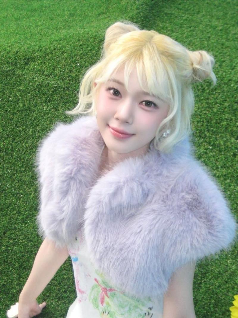 UNIS (유니스)