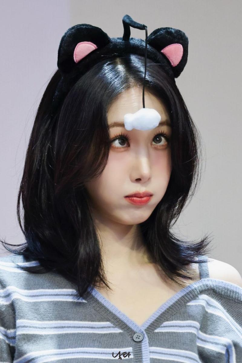 비비지 신비