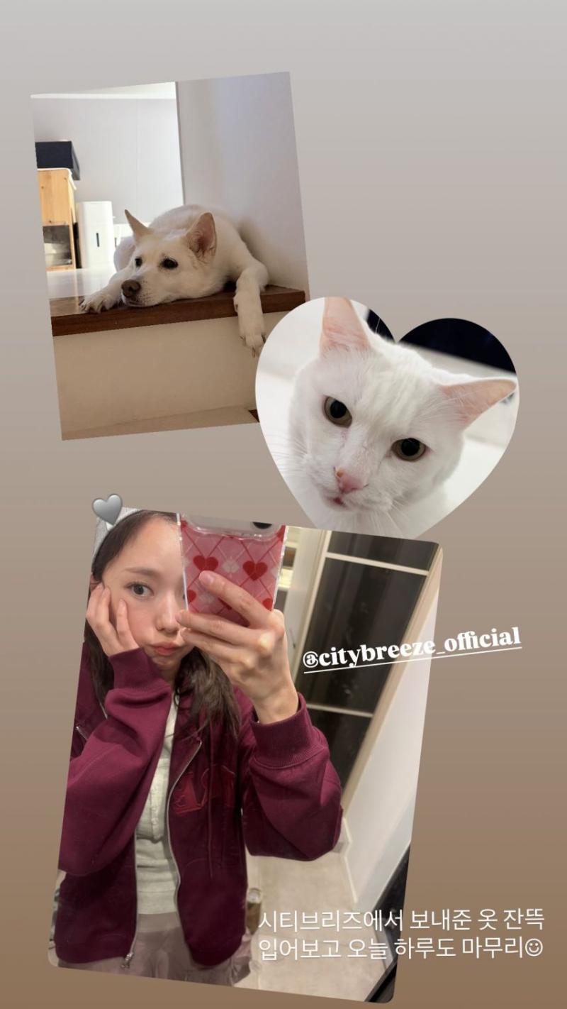 채수빈 인별
