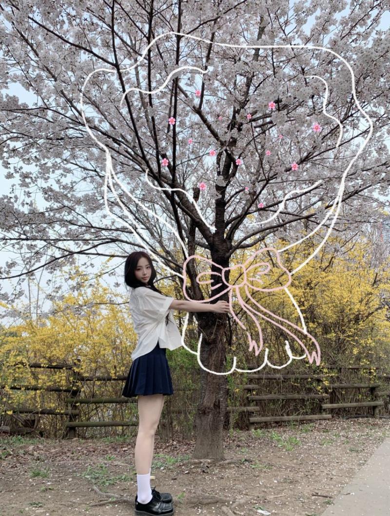 세이마이네임 슈이