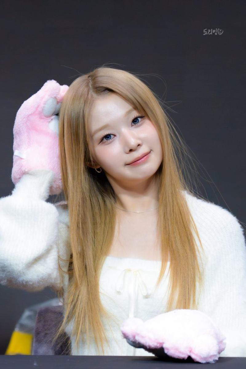 세이마이네임 도희
