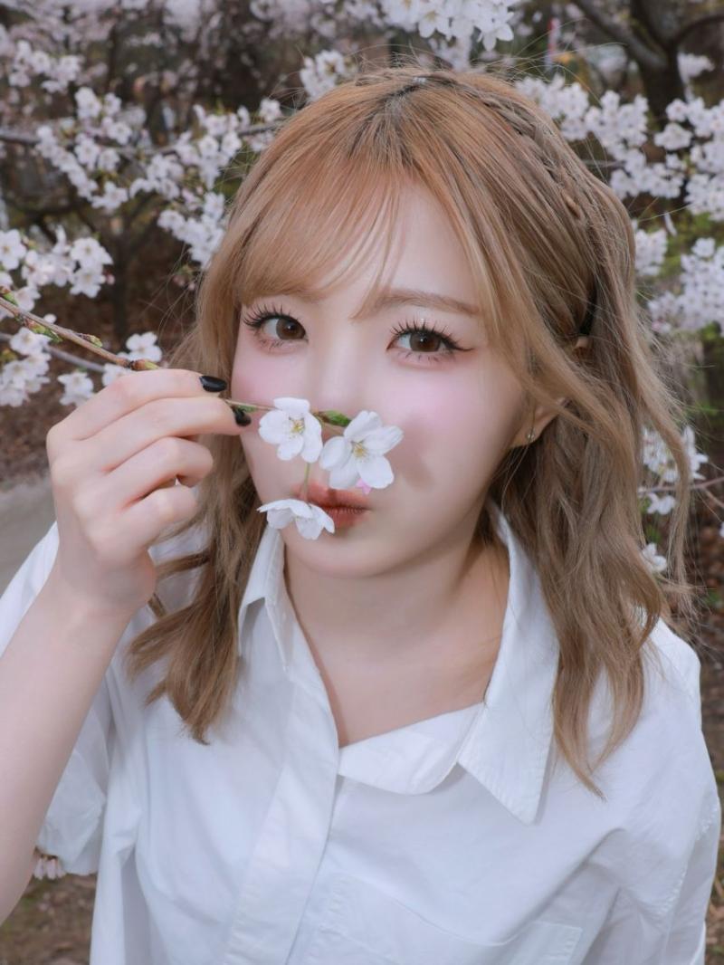 세이마이네임