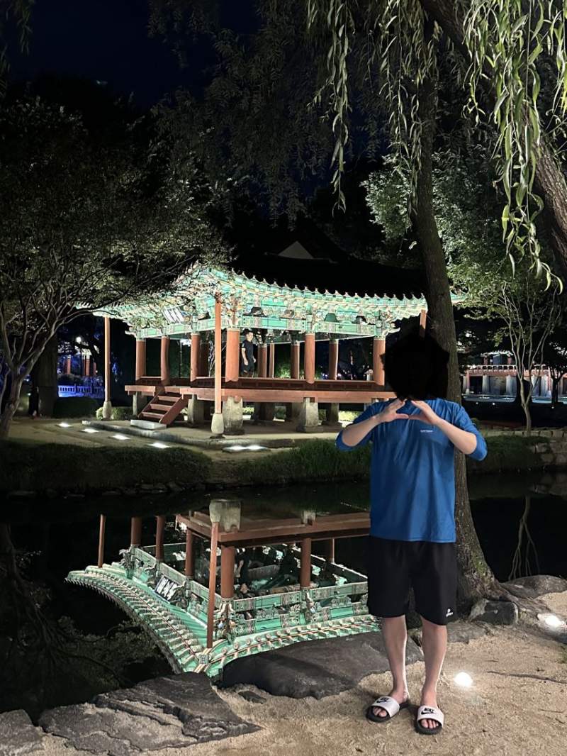 복마이주자