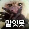 번화가 술집에 앉아있는 찐따남들이 한심함