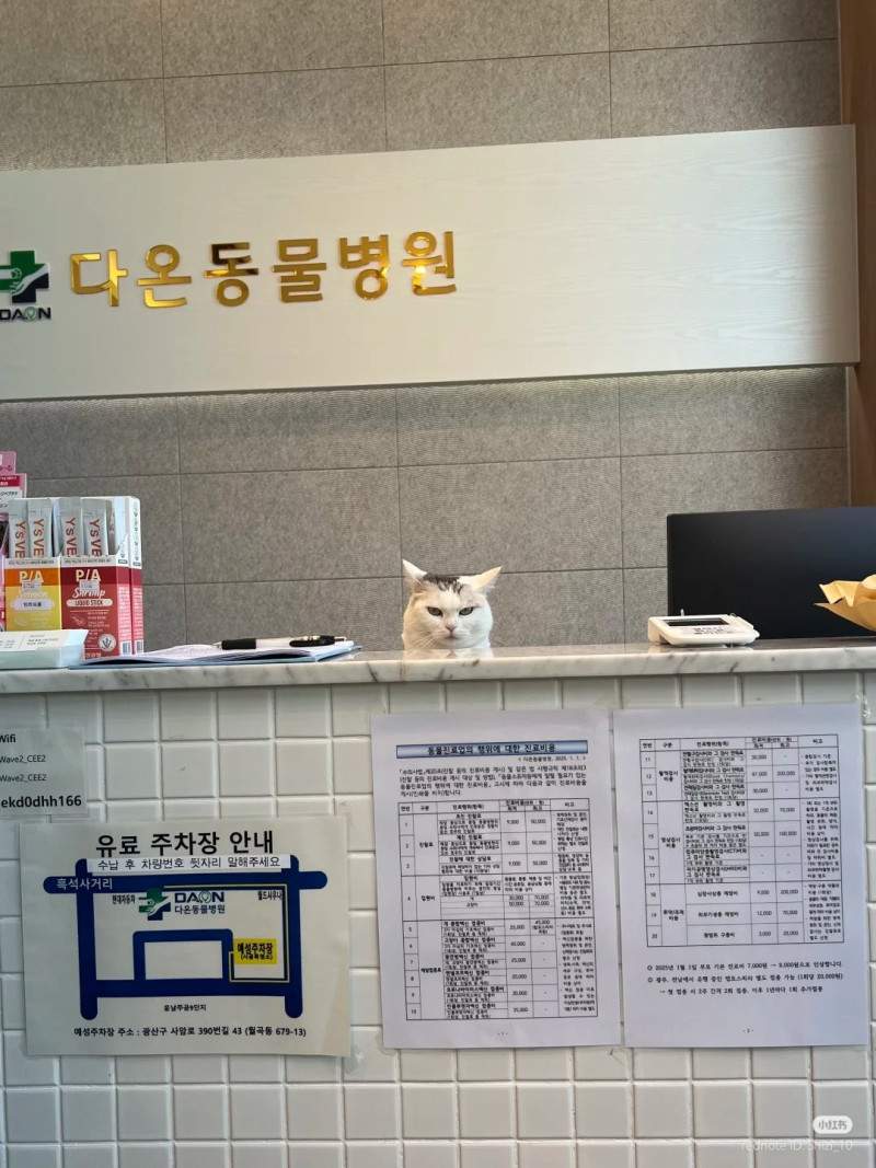 동물병원 안내데스직크원