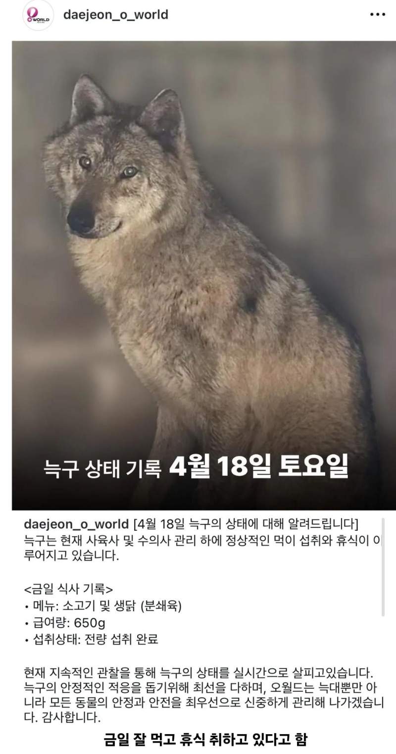 속보) 늑구의 진짜 최신 근황 ㄷㄷㄷㄷㄷㄷ