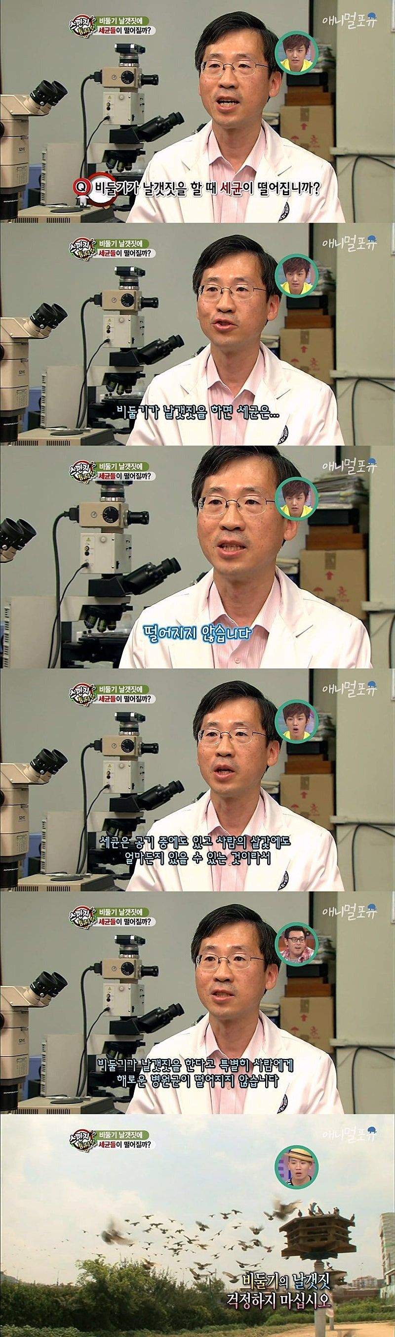 젊은 사람들도 믿고 있는 미신