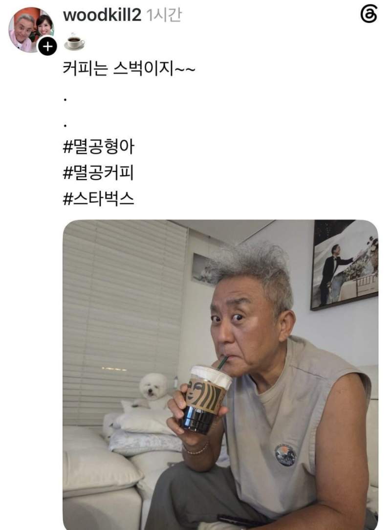 극혐 주의)논란 부추기는 최준용 근황