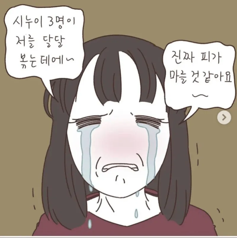 시누이들이 자꾸 달달볶아서 이혼하려고요.manhwa