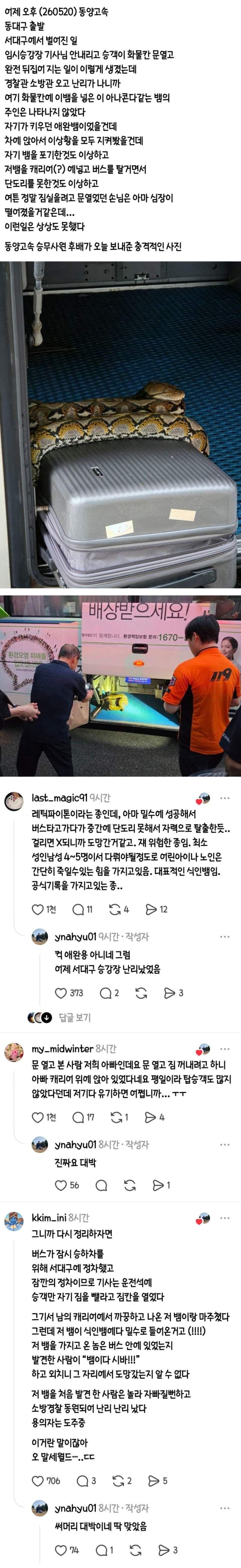 서대구 임시승강장 승객이 화물칸 문 열었는데 뱀이 나왔음.JPG