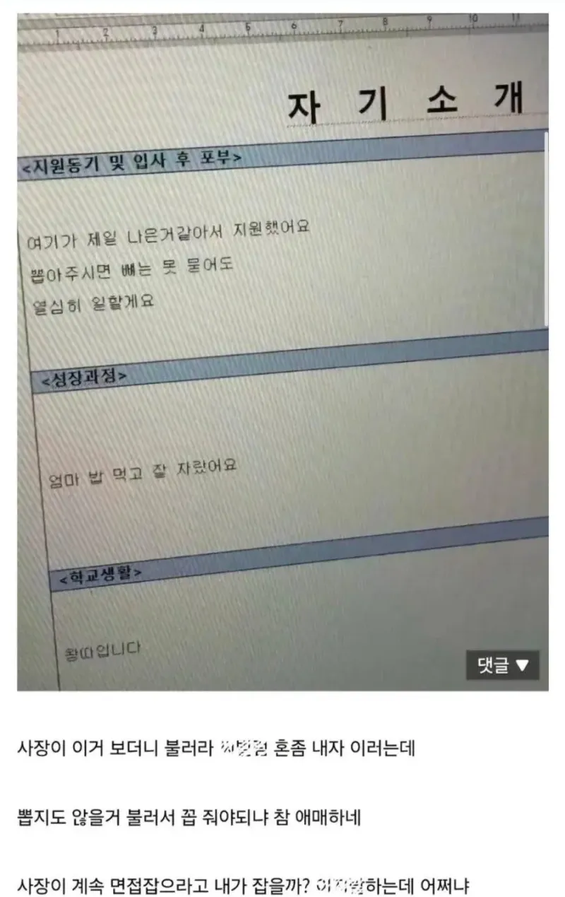 입사지원서보고 빡친 사장.jpg