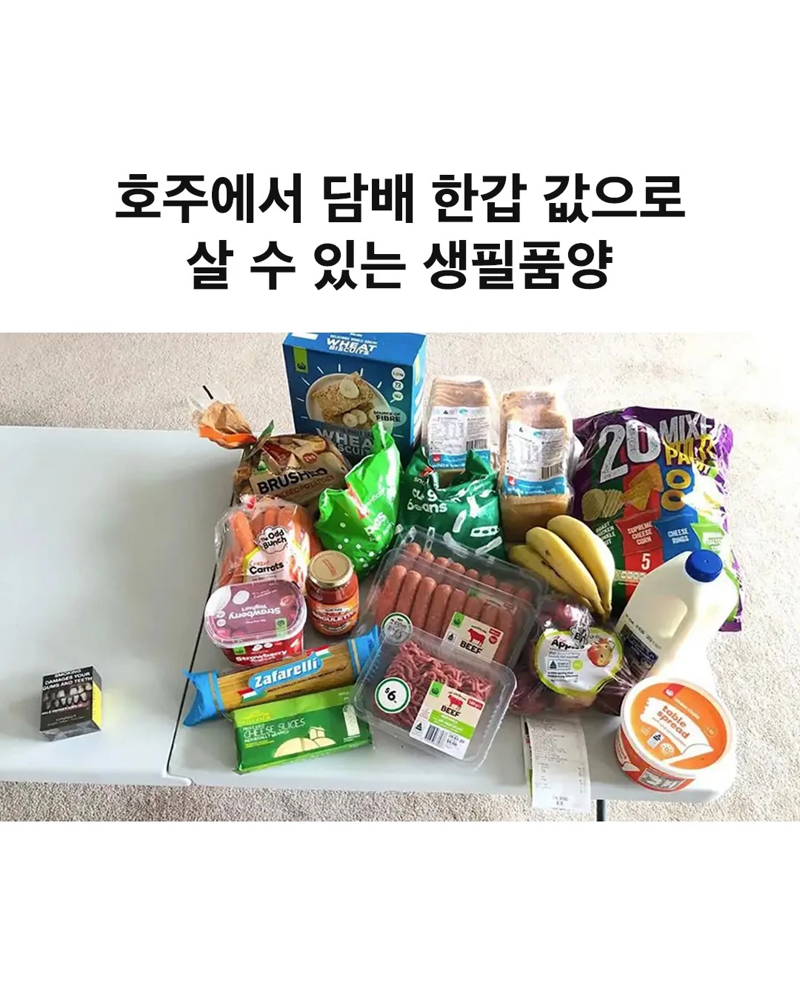 호주에서 담배 한갑으로 살 수 있는 것