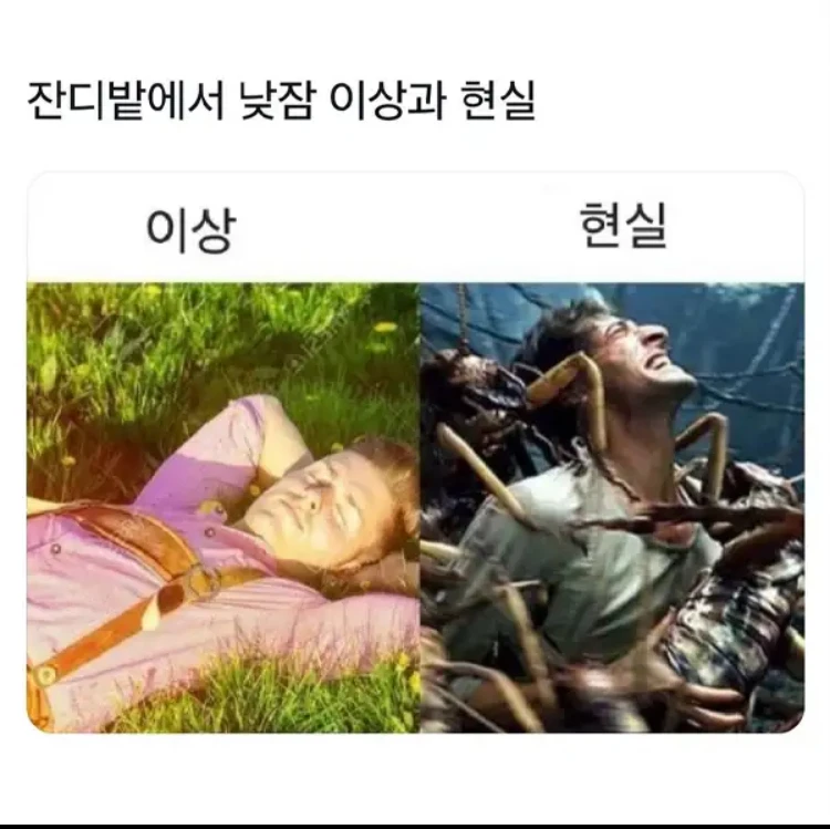 잔디밭에서 낮잠