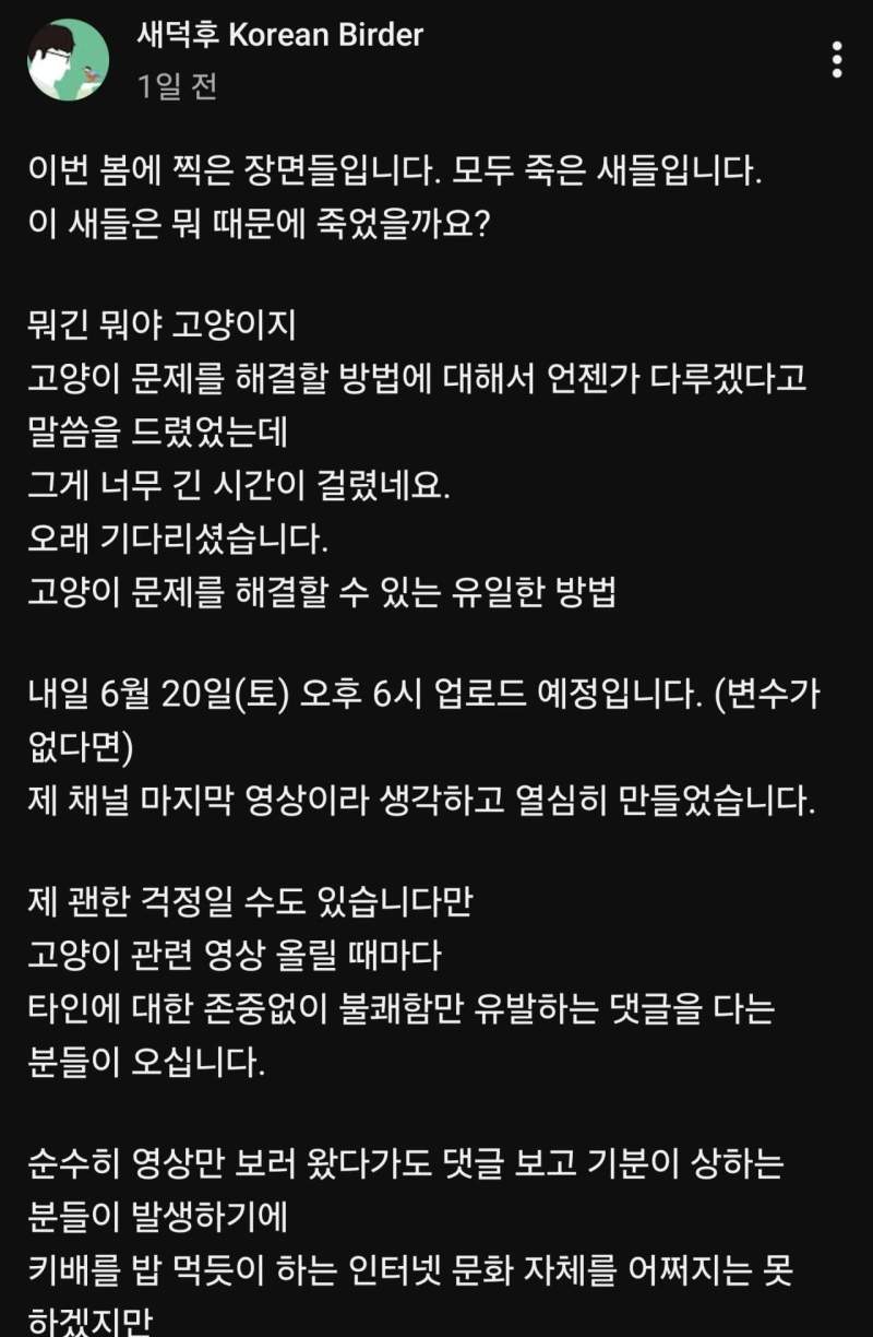 유튜버 새덕후가 공개한 캣맘들의 실체.jpg