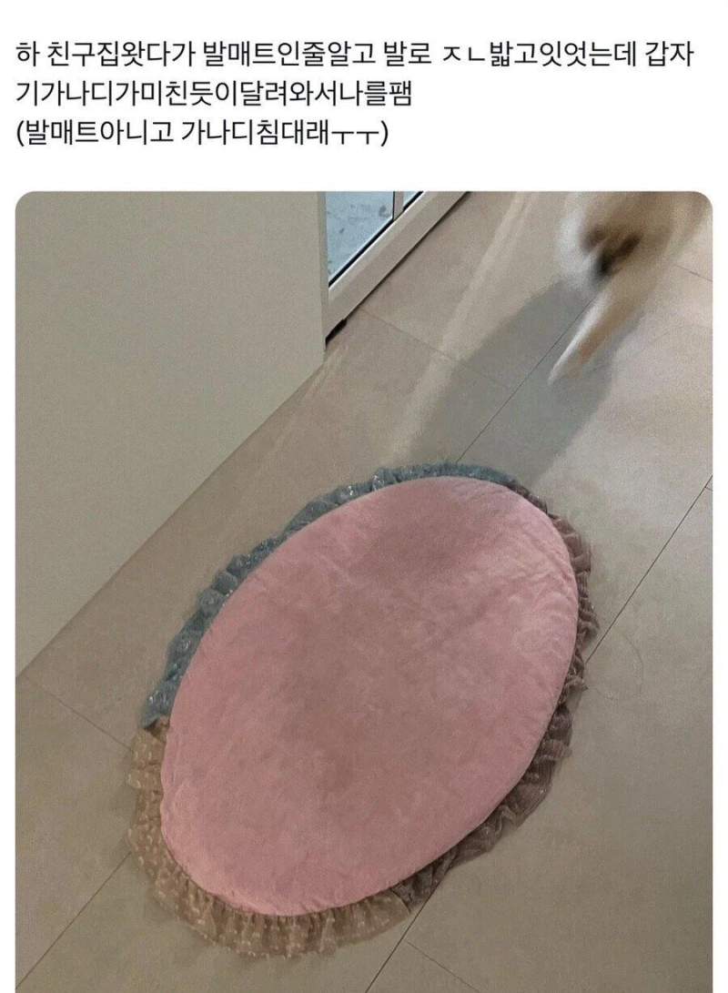 친구집에서 발매트인줄 알고 밟고있었던것의 실체.jpg