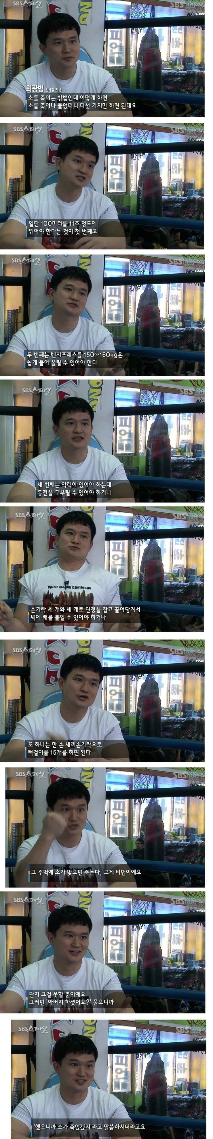 최배달의 맨손으로 소잡는 다섯가지 조건