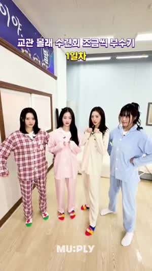 하이키