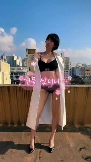 이해인