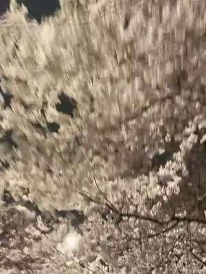서은수 인별