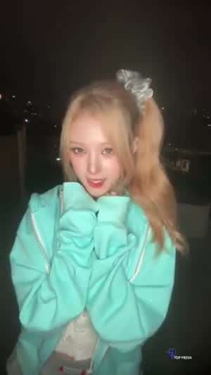 오드유스 마야