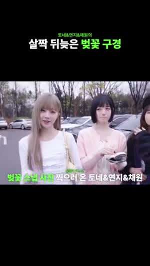 트리플에스 연지, 코토네, 채원