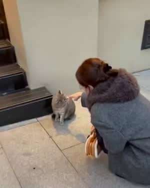 채수빈 인별