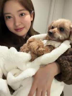 조수민