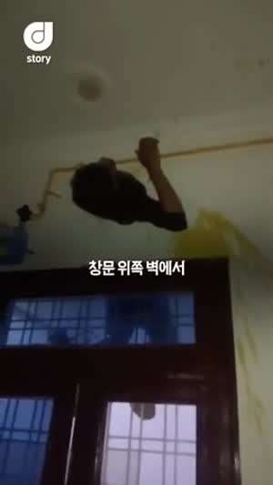 도둑 살려...