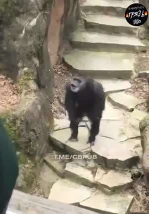 더러움 주의2