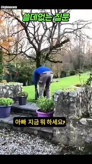 환상의 콤비
