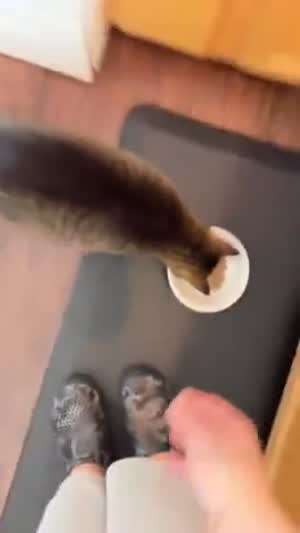 니꺼 먹어!!
