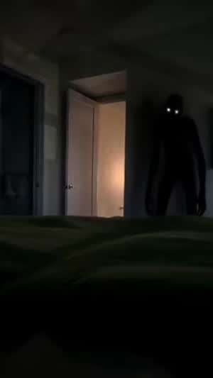 잘 자, 친구~