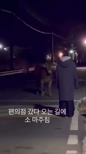 소자만추