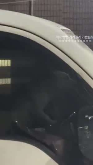 저차 운전자 완전 개새끼네