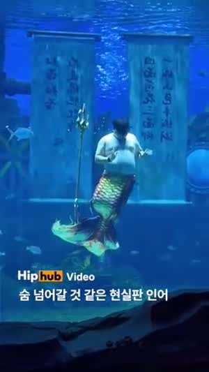 현실판 인어