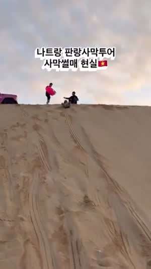 사막썰매 현실