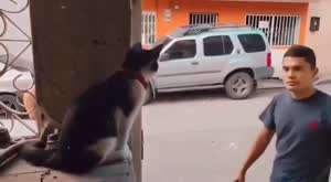 출근 도장.mp4