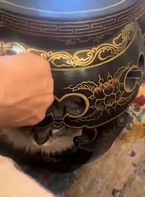 왜 불러?