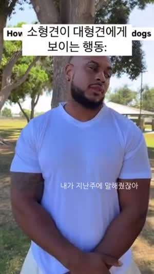 소형견이 대형견한테 깝치는 심리