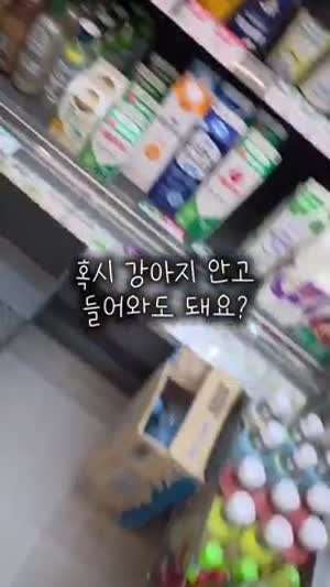 강아지 안고 들어와도 돼요??