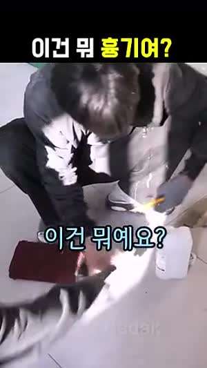 답답하지만 신입 놀리느라 신난 부장님