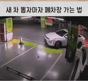 새차 뽑고 폐차장 가는법