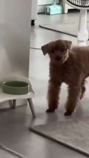배고프다!!
