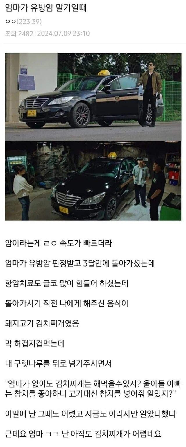 아직도 김치찌개가 어렵다는 사람